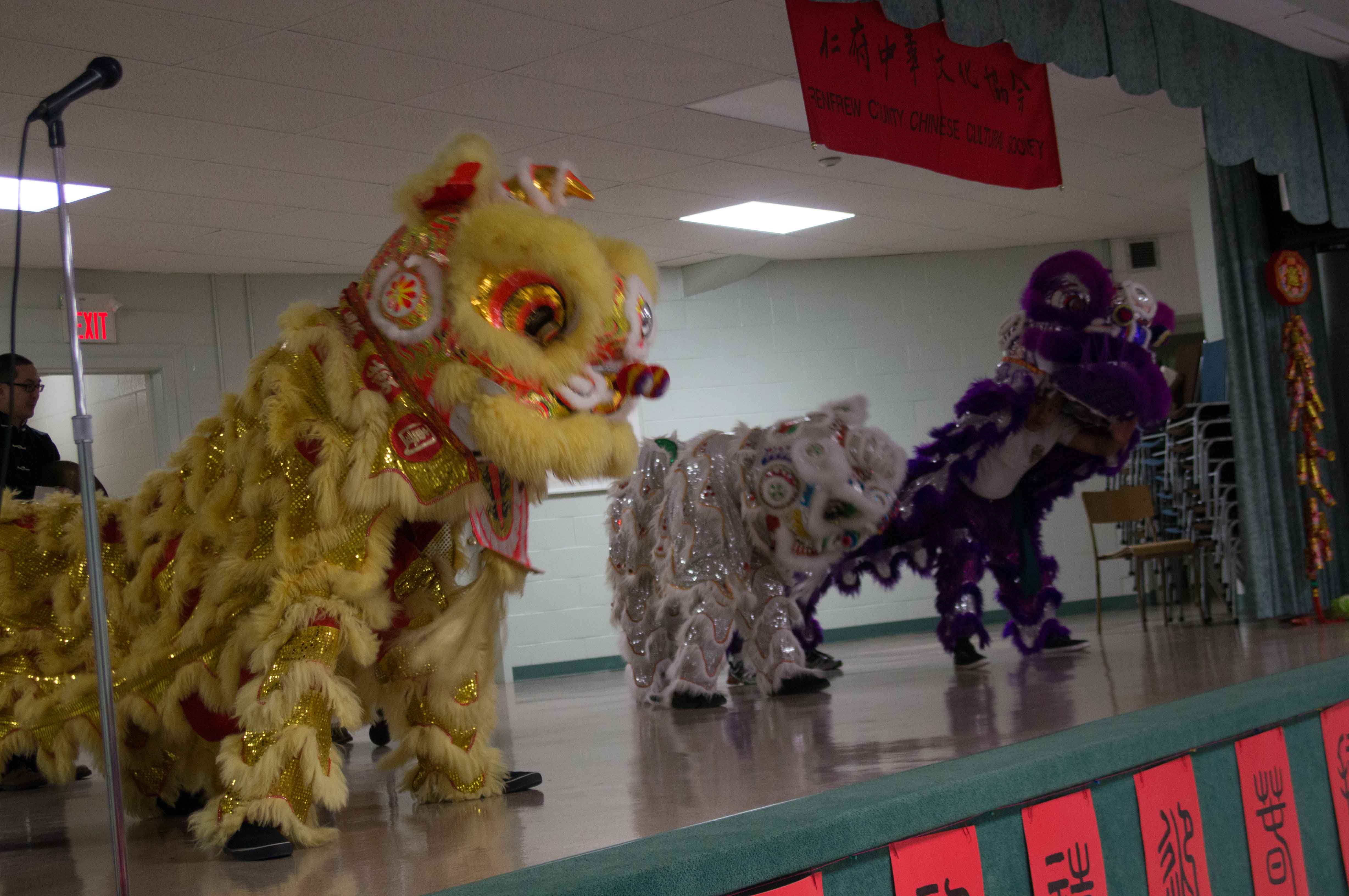 Lion Dance Pembroke Feb 2013-2