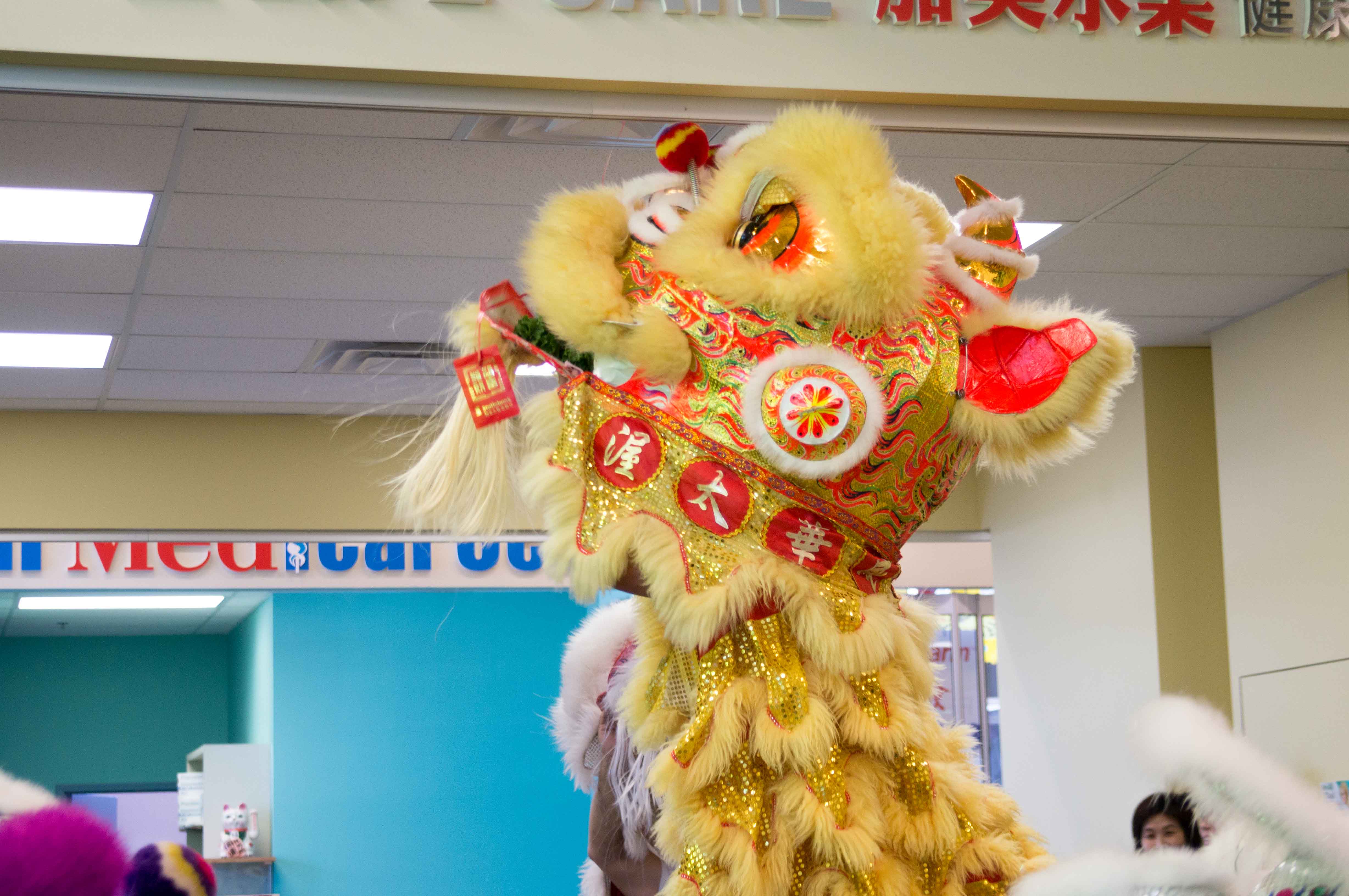 Lion Dance T&T Supermarket Feb 2013-9